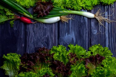 Taze soğan turp ve salata