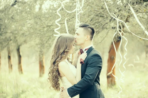 Matrimonio coppia e nastri su albero — Foto Stock