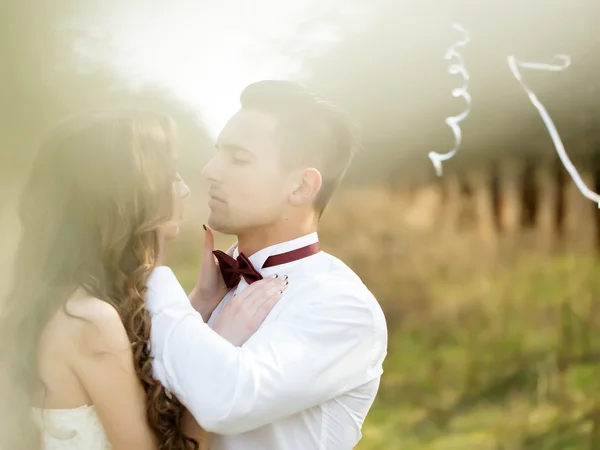 Küssendes Hochzeitspaar — Stockfoto