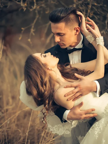 Sensual wedding couple — Stock Photo, Image