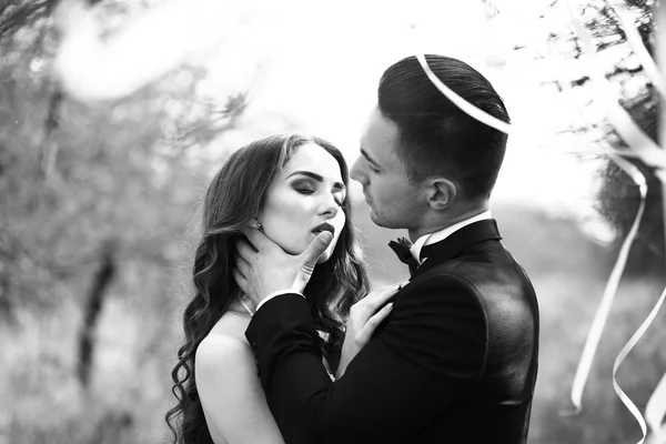 Boda pareja y cintas en el árbol — Foto de Stock