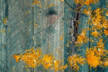 Ahşap arka planda karahindiba çiçekleri