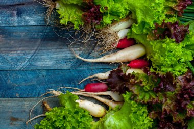 Taze scallions turp ve marul