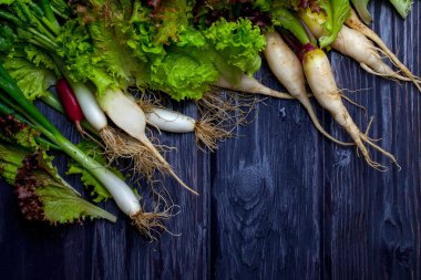 Taze soğan turp ve salata