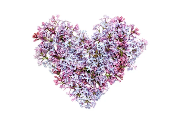 淡紫色的花，在心的形状 — 图库照片