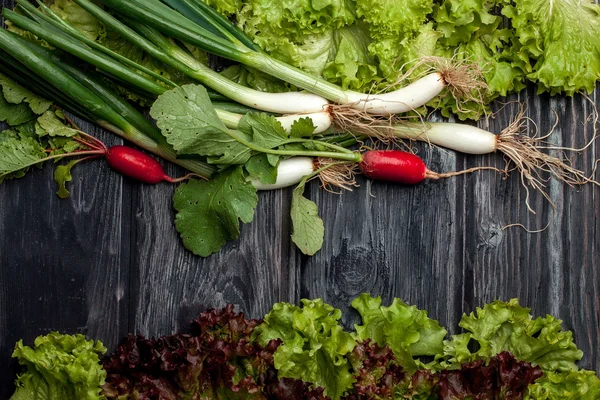 Ravanelli di cipollotti e insalata — Foto Stock