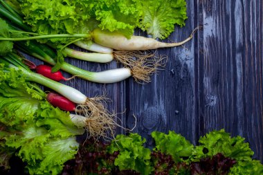 Taze soğan turp ve salata