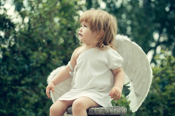 Small boy in angel wings — Stock Photo, Image