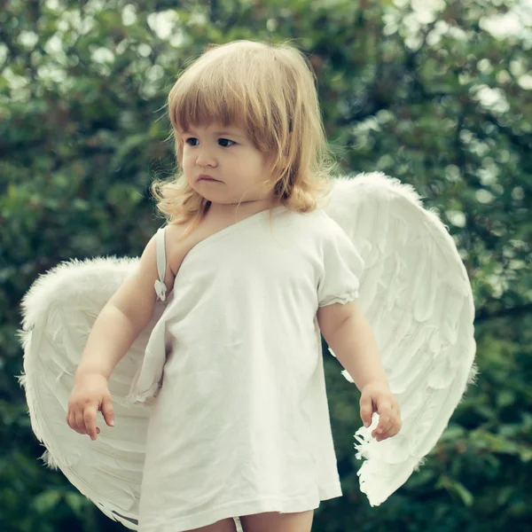 Malý chlapec v andělská křídla — Stock fotografie