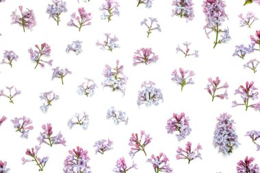 Lila çiçek desen arka plan