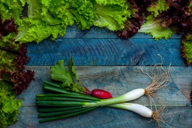 Taze soğan turp ve salata