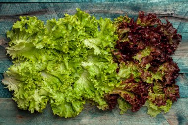 taze salata yaprakları