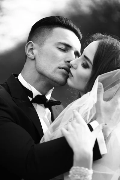 Kissing wedding couple — Stock Photo, Image