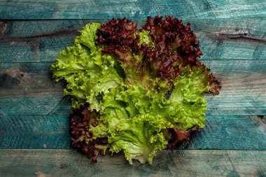 taze salata yaprakları