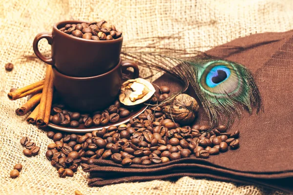 Copo com grãos de café e penas de pavão — Fotografia de Stock