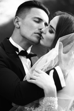 Düğün çift öpüşme