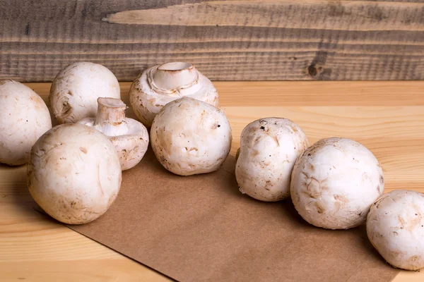 Funghi champignon bianchi freschi — Foto Stock