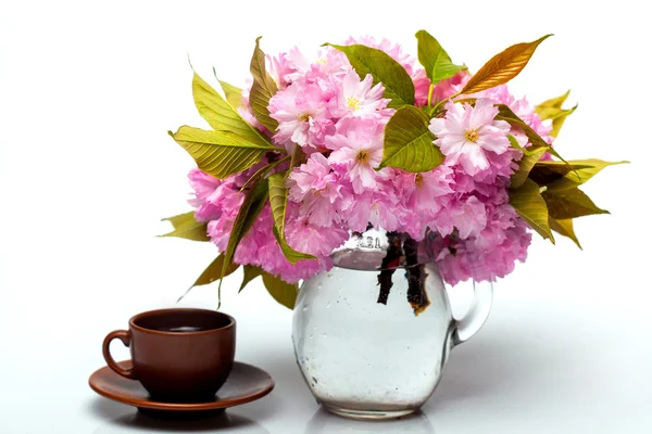 Sakura en jarra y taza — Foto de Stock