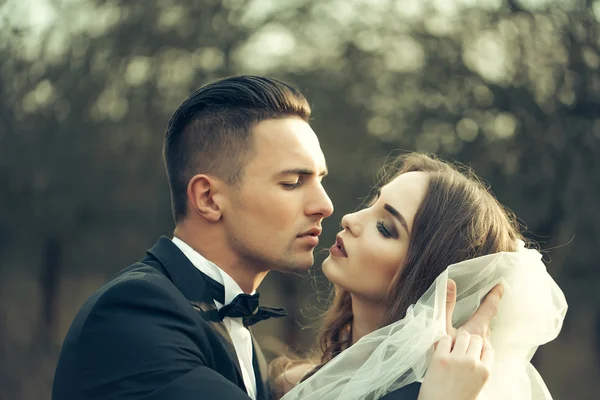 Csókolózó pár esküvői — Stock Fotó