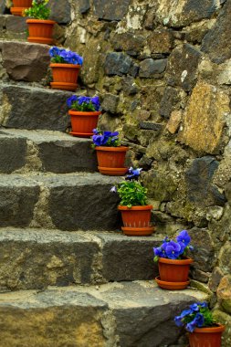 Çiçekli taş merdivenler.