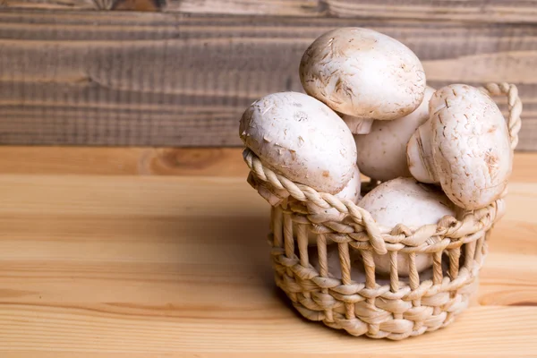 Fresh white champignon mushrooms — Stock Photo, Image