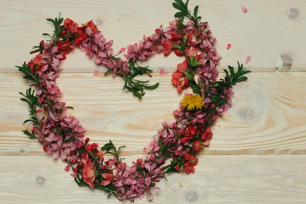 Lindas flores em forma de coração — Fotografia de Stock