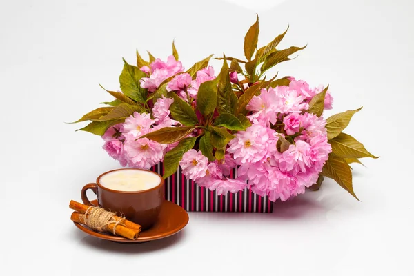 Sakura y taza de leche — Foto de Stock