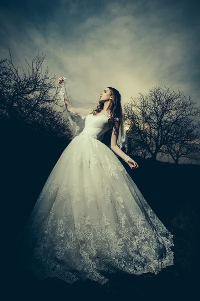 Beautiful bride in dusk — Stock Photo, Image