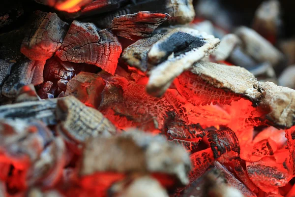 Charbon de bois brûlé dans le feu — Photo