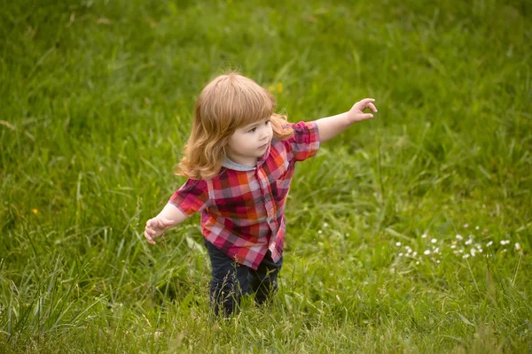 Kleine jongen op groen gras — Stockfoto