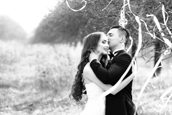 Wedding couple and ribbons on tree — Stock Photo, Image