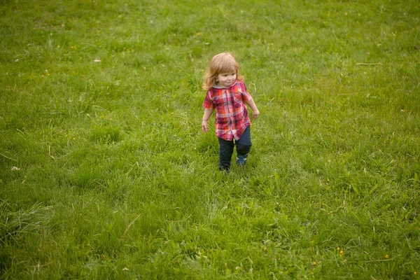 Liten gutt på grønt gress – stockfoto