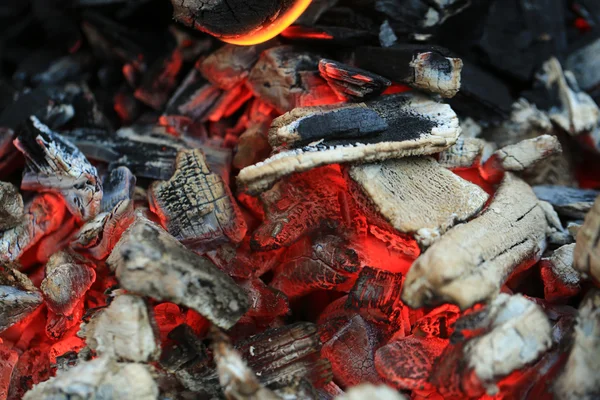 Quema de carbón en el fuego —  Fotos de Stock