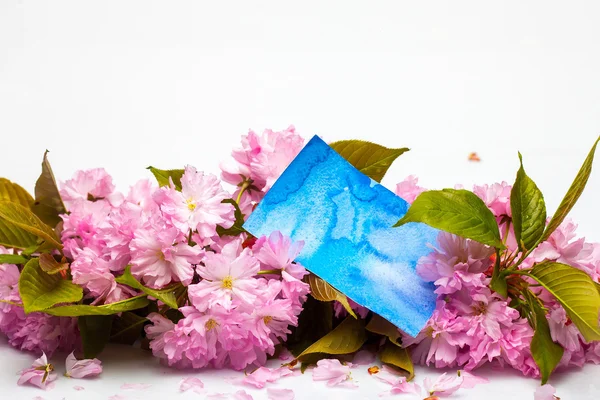 Sakura e acquerello blu — Foto Stock