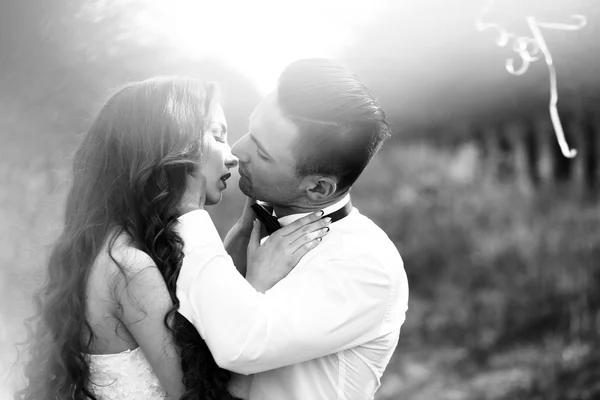 Kissing wedding couple — Stock Photo, Image