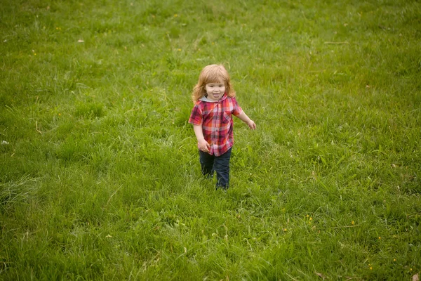 Маленький мальчик на зеленой траве — стоковое фото
