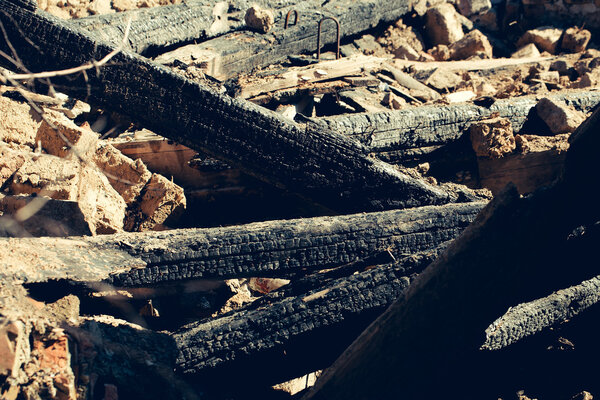 Many charred black logs