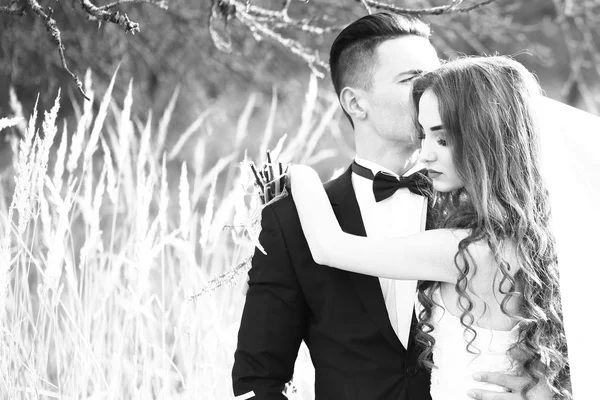 Wedding embracing couple — Stock Photo, Image