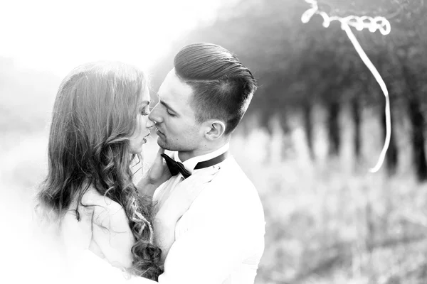 Beijar casal de casamento — Fotografia de Stock