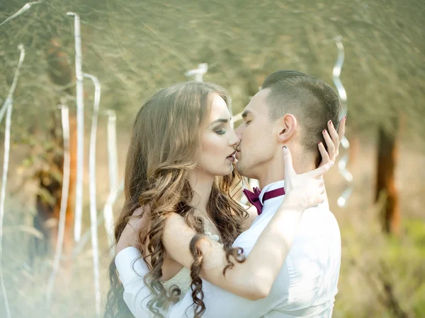 Kissing wedding couple — Stock Photo, Image