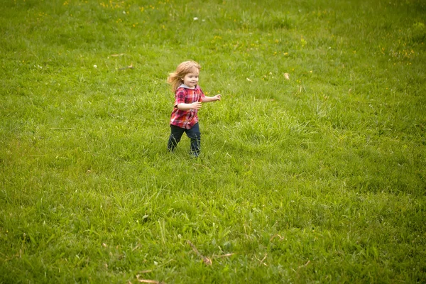 Menino pequeno na grama verde — Fotografia de Stock