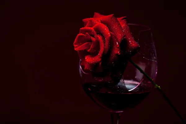 Красная роза в бутылке вина — стоковое фото
