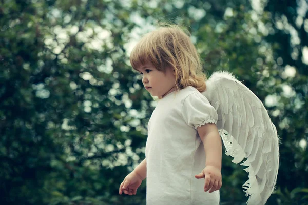 Small boy in angel wings — Stock Photo, Image