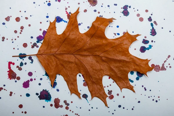 oak leaf with watercolor stains