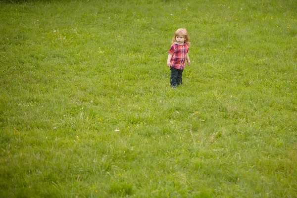 Kleine jongen op groen gras — Stockfoto