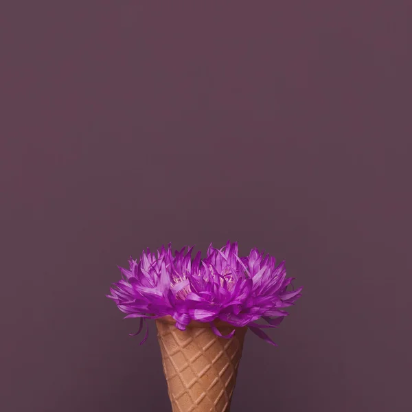 Fiore essiccato in tortino di cialde — Foto Stock