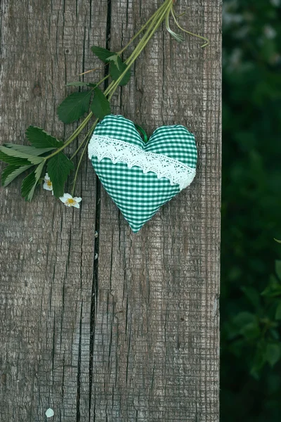 Kalp yastık ile çilek çiçeği — Stok fotoğraf