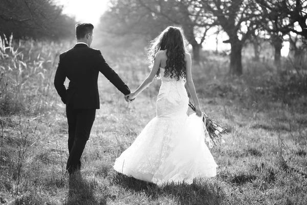 Boda pareja caminando al aire libre — Foto de Stock