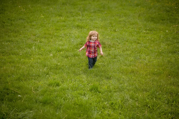 Liten pojke på grönt gräs — Stockfoto