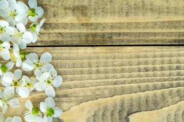 Kiraz çiçekleri ve yaprakları ahşap üzerine